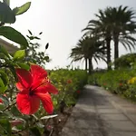En Maspalomas, Melocotones * Πλάγια ντελ Ινγκλές