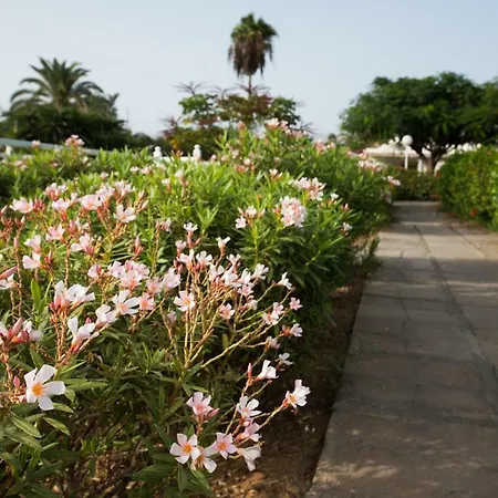 En Maspalomas, Melocotones Feriehus