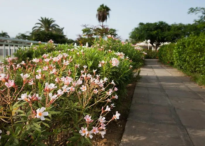 En Maspalomas, Melocotones Vakantiehuis