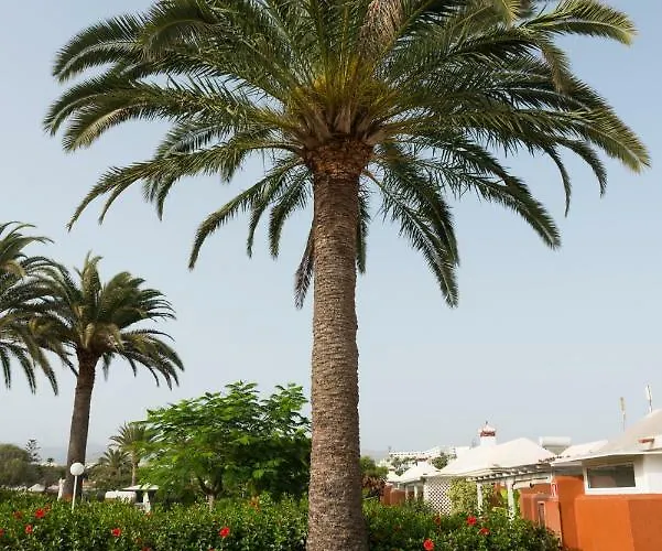 En Maspalomas, Melocotones Vakantiehuis