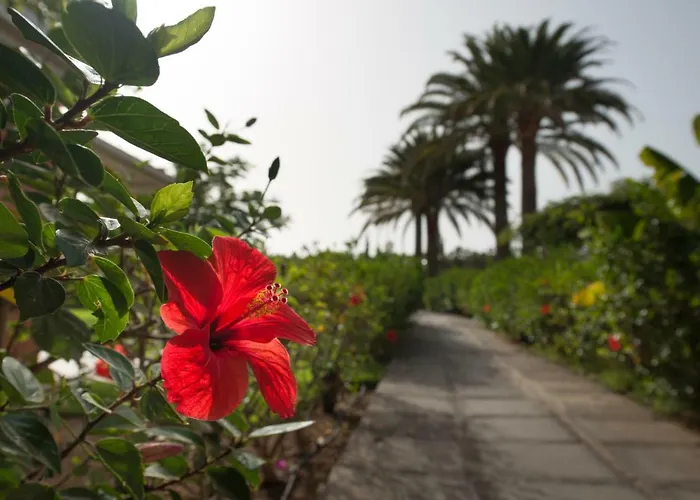 En Maspalomas, Melocotones * Playa del Inglés